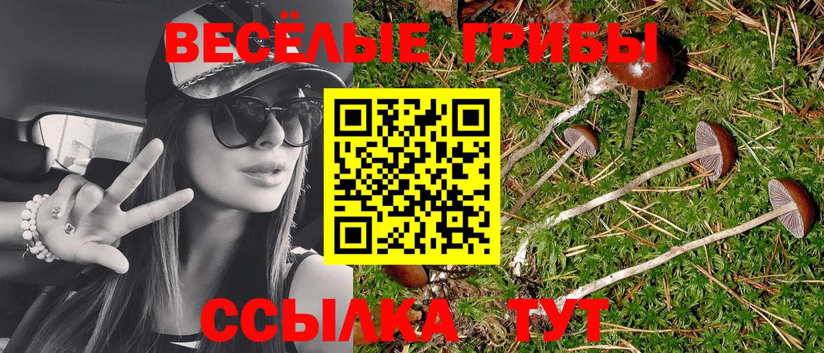 Калуга  Псилоцибиновые грибы ЛСД  Галлюциногенные грибы GOLDEN TEACHER  Вход с VPN 