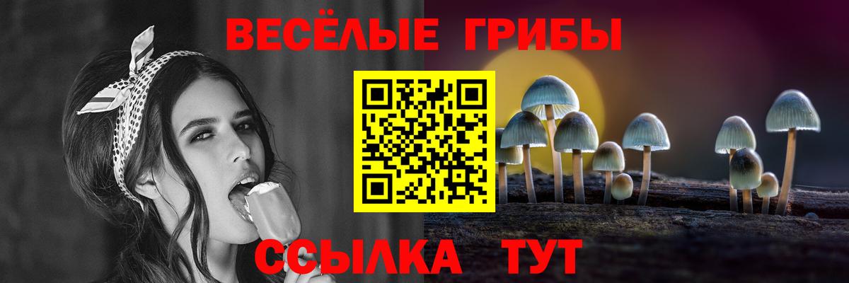 Галлюциногенные грибы Psilocybe Калуга